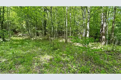 000 N Old Nc Highway 16, Millers Creek, NC 28651 - Photo 5