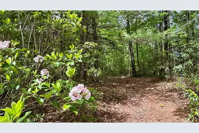 000 N Old Nc Highway 16, Millers Creek, NC 28651 - Photo 11