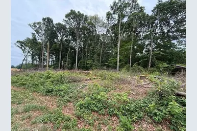 1799 Haire Road, Yadkinville, NC 27055 - Photo 5