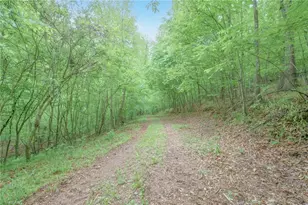 2517 Horseshoe Road, Westfield, NC 27053 - Photo 39