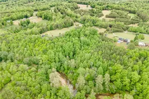 2517 Horseshoe Road, Westfield, NC 27053 - Photo 45