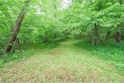 2517 Horseshoe Road, Westfield, NC 27053 - Photo 41