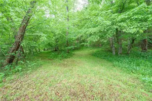 2517 Horseshoe Road, Westfield, NC 27053 - Photo 41