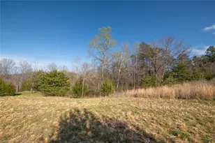 Lot 38 Lake Shore Dr, Yanceyville, NC 27379 - Photo 1