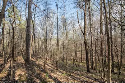 Lot 38 Lake Shore Drive, Yanceyville, NC 27379 - Photo 11