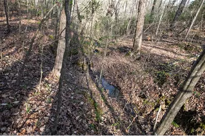 Lot 38 Lake Shore Drive, Yanceyville, NC 27379 - Photo 17