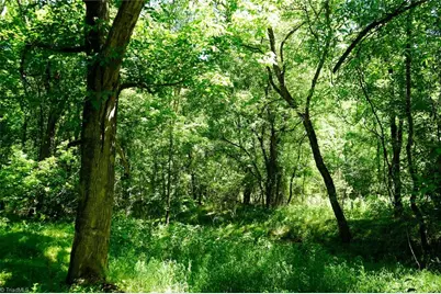 48.48 Acres Valley Road, Winston-Salem, NC 27106 - Photo 25