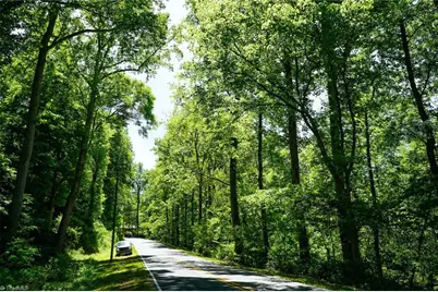 48.48 Acres Valley Road, Winston-Salem, NC 27106 - Photo 9