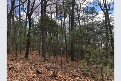 Lot 21 Bobcat Mountain Road, Purlear, NC 28665 - Photo 3