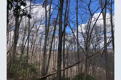 Lot 21 Bobcat Mountain Road, Purlear, NC 28665 - Photo 5