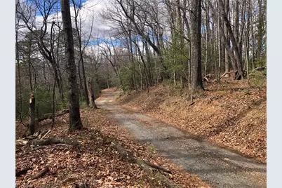 Lot 21 Bobcat Mountain Road, Purlear, NC 28665 - Photo 7
