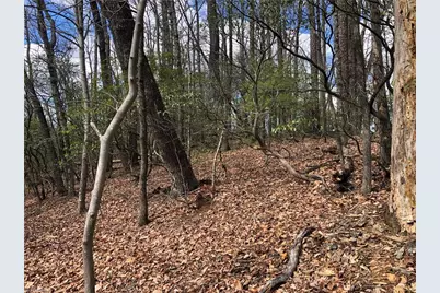 Lot 21 Bobcat Mountain Road, Purlear, NC 28665 - Photo 15