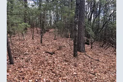 Lot 21 Bobcat Mountain Road, Purlear, NC 28665 - Photo 17