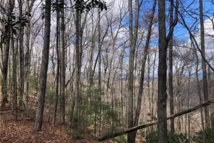 Lot 21 Bobcat Mountain Rd, Purlear, NC 28665 - Photo 1
