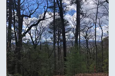Lot 21 Bobcat Mountain Road, Purlear, NC 28665 - Photo 13