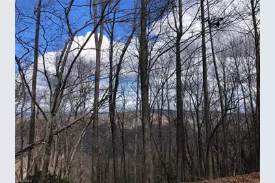 Lot 21 Bobcat Mountain Road, Purlear, NC 28665 - Photo 21