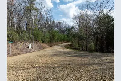 0 Chestnut Mountain Farms Parkway, McGrady, NC 28649 - Photo 11