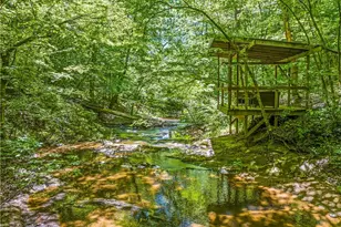1930 Snow Hill Church Road, Danbury, NC 27016 - Photo 47