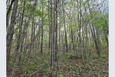 0000 Hoover Hill Road, Asheboro, NC 27205 - Photo 11