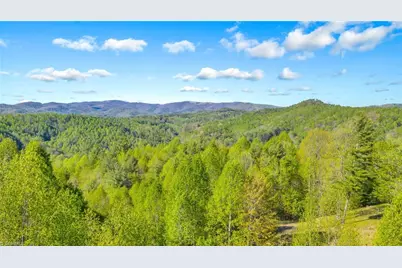 5939 Big Laurel Road, Creston, NC 28615 - Photo 3