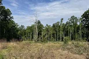 3673 Nc Hwy 66, Westfield, NC 27053 - Photo 15