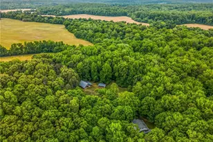 4500 Williams Rd, Lewisville, NC 27023 - Photo 3