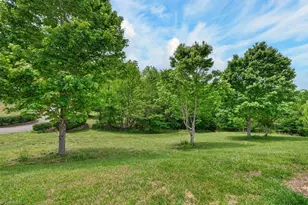 1102 Bear Crk Ln, Pinnacle, NC 27043 - Photo 43