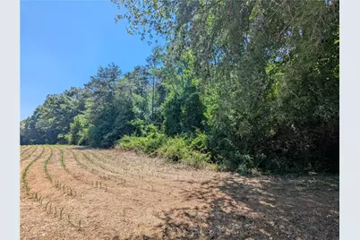 1152 Redbud Lane, Hamptonville, NC 27020 - Photo 19