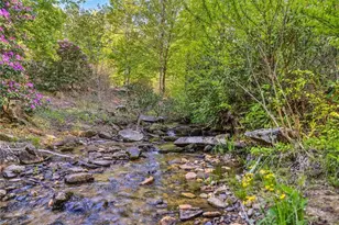164 Deelani Trail, Fleetwood, NC 28626 - Photo 43