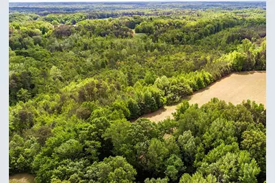 5338 Hicone Road, McLeansville, NC 27301 - Photo 9