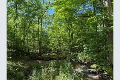 00 Sink Road, Lexington, NC 27295 - Photo 3