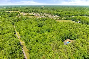 355 Rabbit Farm Trail, Advance, NC 27006 - Photo 49
