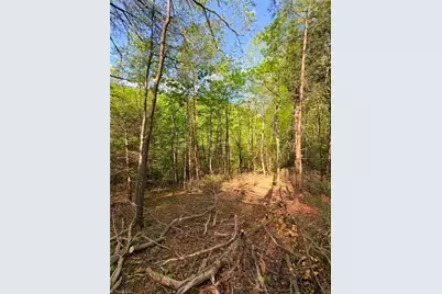 Tbd Shoe Road, Millers Creek, NC 28651 - Photo 11