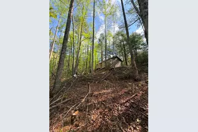 Tbd Shoe Road, Millers Creek, NC 28651 - Photo 13