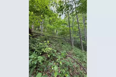 Tbd Ben Bolen Road, Creston, NC 28615 - Photo 5