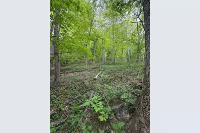 Tbd Ben Bolen Road, Creston, NC 28615 - Photo 17