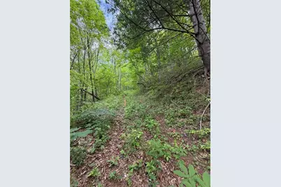 Tbd Ben Bolen Road, Creston, NC 28615 - Photo 11