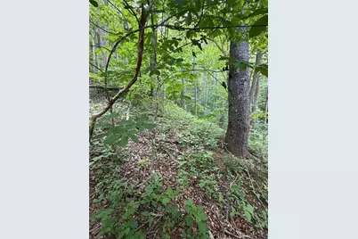 Tbd Ben Bolen Road, Creston, NC 28615 - Photo 15