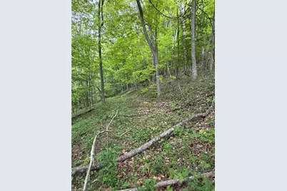 Tbd Ben Bolen Road, Creston, NC 28615 - Photo 19