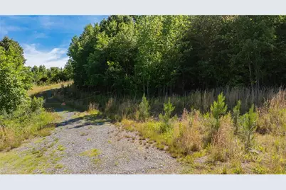 00 Mulberry Academy Street, Franklinville, NC 27248 - Photo 5