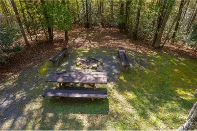 1105 Fall Creek Road, Purlear, NC 28665 - Photo 3