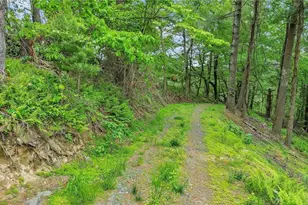 931 935 939 Don Bare Rd, Jefferson, NC 28640 - Photo 47