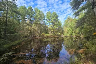 0 Bass Mountain Rd, Snow Camp, NC 27349 - Photo 1