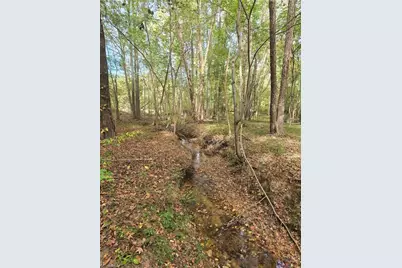 0 Bass Mountain Road, Snow Camp, NC 27349 - Photo 5