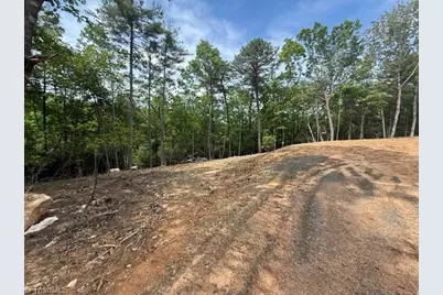 00 Chestnut Mountain Farms Parkway, McGrady, NC 28649 - Photo 5