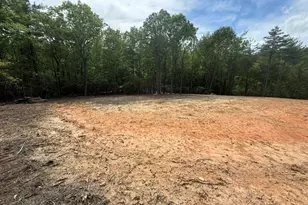 00 Chestnut Mountain Farms Pkwy, McGrady, NC 28649 - Photo 1