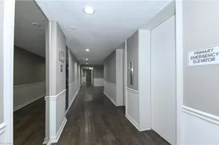1101 N Elm St, Greensboro, NC 27401 - Photo 5