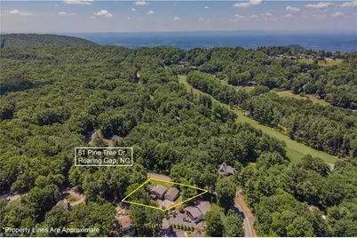 81 Pine Tree Drive, Roaring Gap, NC 28668 - Photo 45