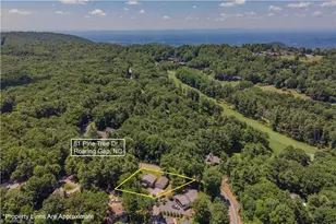 81 Pine Tree Dr, Roaring Gap, NC 28668 - Photo 45