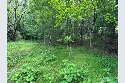 248 Wiley Reynolds Road, Millers Creek, NC 28651 - Photo 17